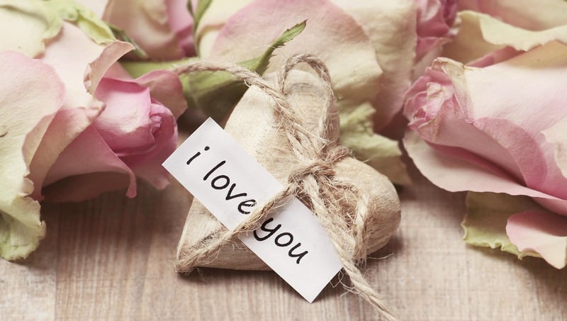 Love and Affection